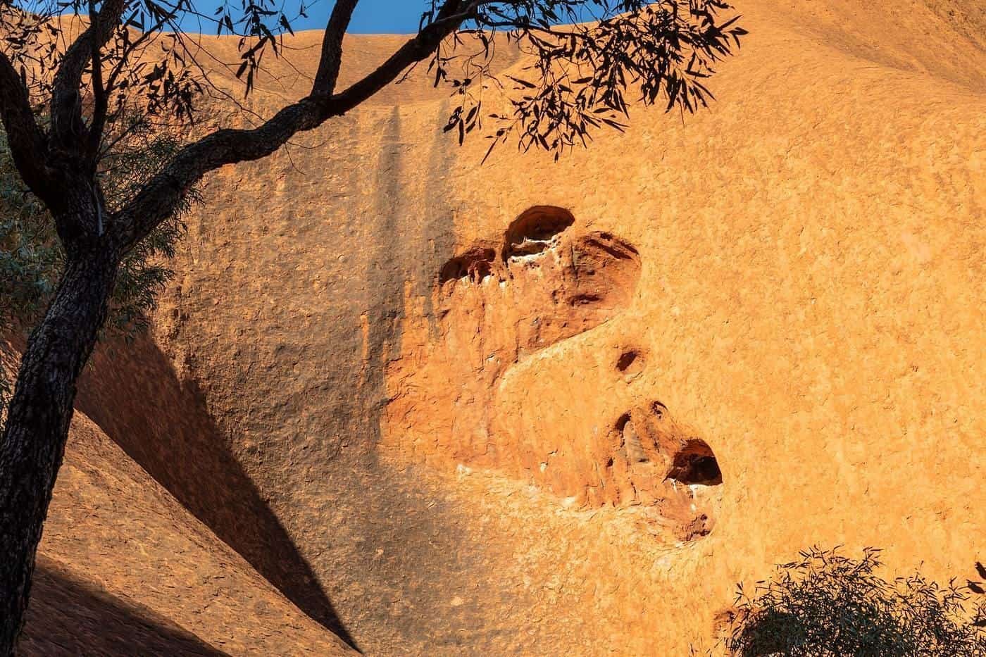 The red rock face of Uluṟu beside the Kuniya Walk