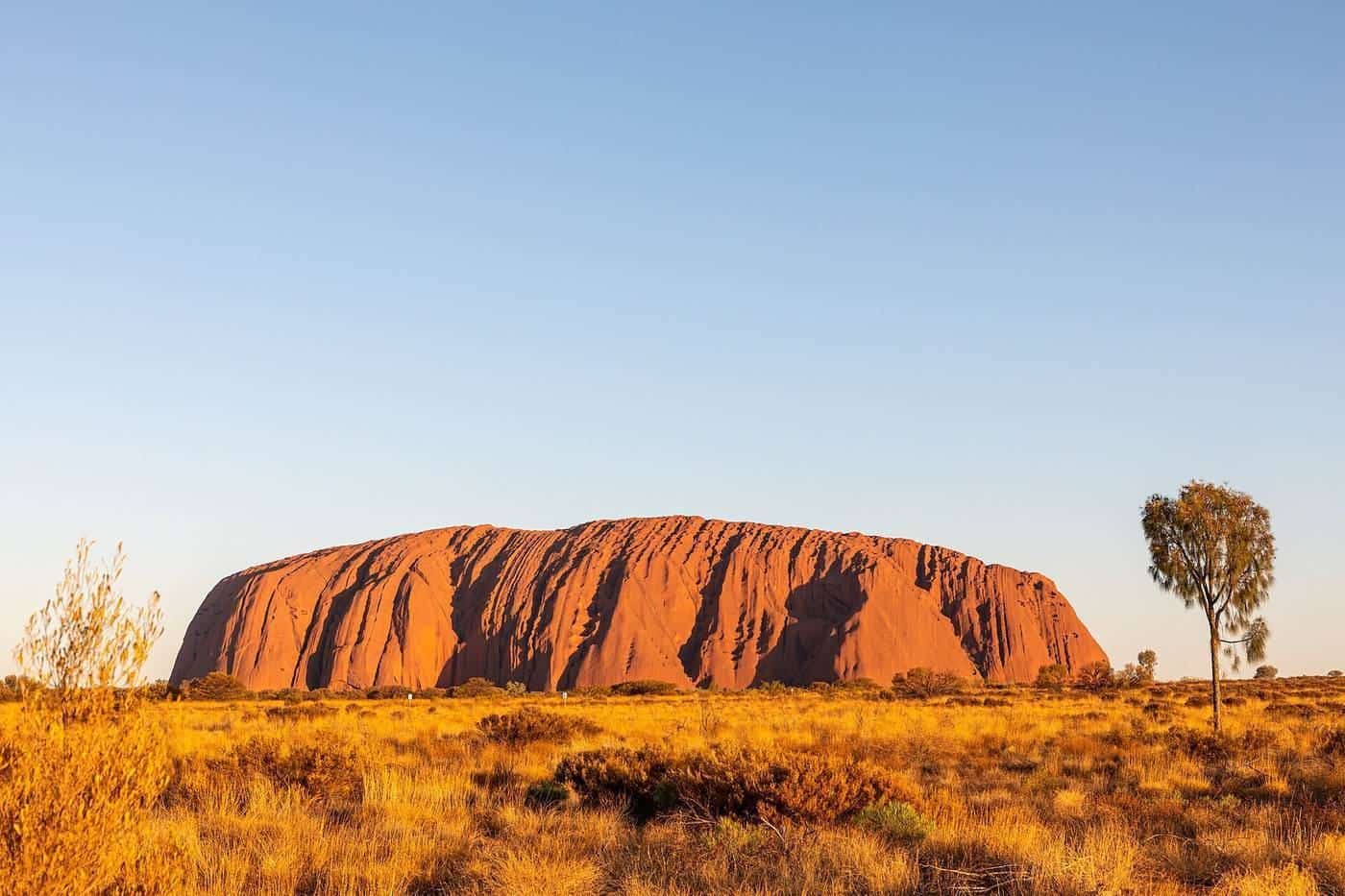 Uluṟu glowing red under a clear sky