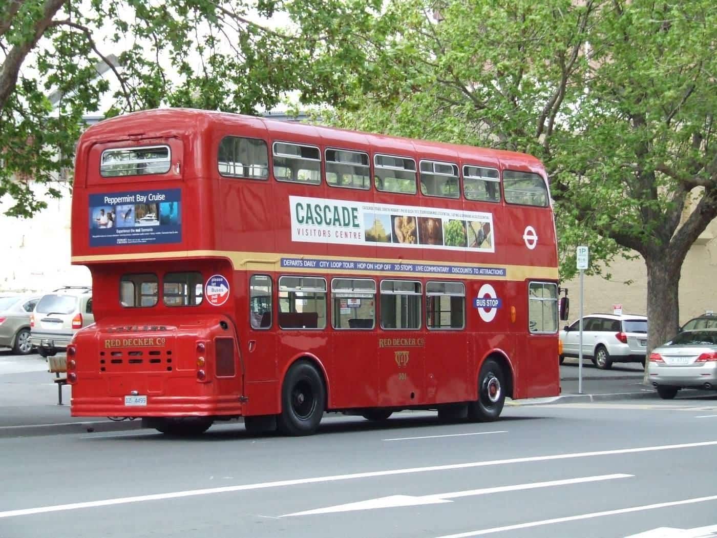 A red double-decker sightseeing bus on a tree-lined city street